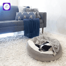 Cama ortopédica para cachorro – ajuda a prevenir dores nas articulações e proporciona descanso confortável