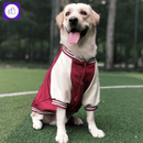 Jaqueta de inverno para cães pequenos e grandes – mantém seu pet aquecido em climas frios