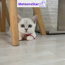 Brinquedos interativos de movimento para gatos – mais diversão e menos tédio