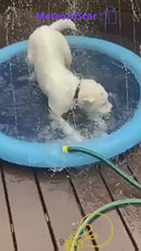 Piscina inflável para cães – ideal para manter seu pet fresco e feliz no verão