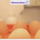 EggGo – Caldeira para Ovos de Microondas | Prático e Rápido para Cozinhar Ovos